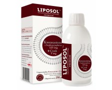 Liposol Liposomalna Kwercetyna 125 mg + Cynk 5 mg - 250ml