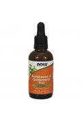 NOW FOODS Echinacea & Goldenseal Plus 60ml - Krople 60ml