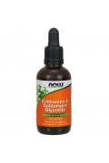 NOW FOODS Echinacea & Goldenseal Glycerite 60ml - Krople 60ml