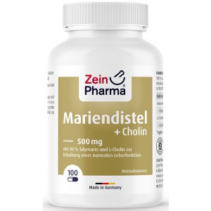 Zein Pharma Milk Thistle + Cholin, Liver Complex - ostropest plamisty i cholina