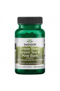 SWANSON Grape Seed Green Tea Pine Bark Complex (pestki winogron, zielona herbata,kora sosny) - 60 kapsułek