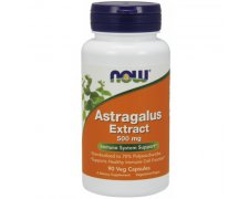NOW FOODS Astragalus Extract 500mg
