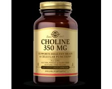 Solgar Cholina 350 mg