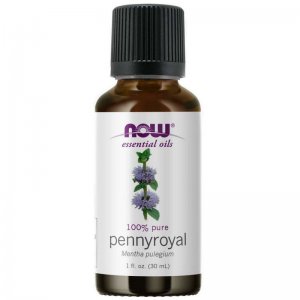 NOW FOODS Olejek z mięty polnej (Pennyroyal) 30ml