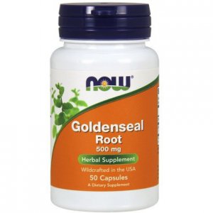 NOW Goldenseal Root Gorzknik kanadyjski 500mg