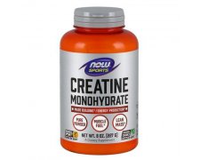 Now Foods Creatine Monohydrate pure proszek 227g kreatyna