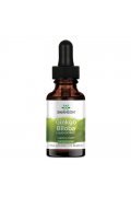 Swanson Ginkgo Biloba liquid ekstrakt 29,6 ml (miłorząb japoński) - 29,6 ml