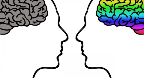 Koniec z mgłą mózgową: Jakie witaminy z grupy B i suplementy diety wspierają pamięć i koncentrację?