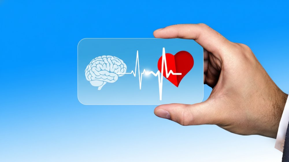 zdrowe serce i mózg