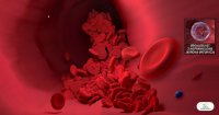 Anemia megaloblastyczna a drętwienie kończyn – dlaczego wybrać witaminę B12 metylokobalaminę do ssania?
