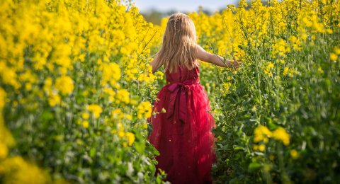 Metaboliczna pułapka wiosny: Jak obniżyć homocysteinę i odzyskać energię? (Kompletny przewodnik)