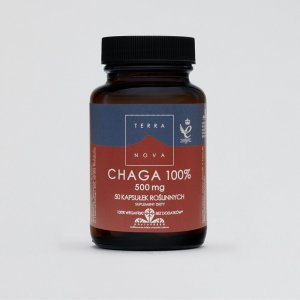 TERRANOVA CHAGA 100% 500MG (Grzyb)