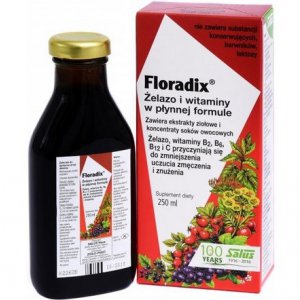 SALUS-HAUS Floradix Żelazo i Witaminy Tonik 500ml
