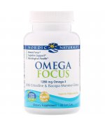 Nordic Naturals Omega Focus with Citicoline & Bacopa Monnieri Extract, 1280mg - 60 kapsułek