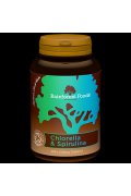 Rainforest Foods Chlorella i Spirulina BIO (300 tabletek x 500 mg) - 300 tabletek