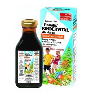 SALUS-HAUS Floradix Kindervital owocowa formuła 250ml