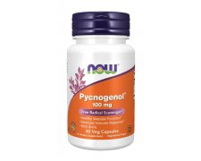 Now Foods Pycnogenol, 100 mg 